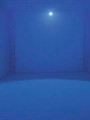 led_cfl_36_multicolor_dmx_flood_5.jpg
